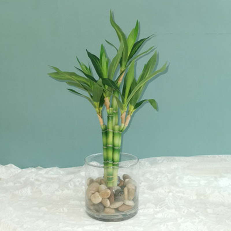 Snake Plant - 新しい40cm人工ラッキーバンブー多肉植物フェイクプラントフラワー、緑の鉢植え、庭、屋外ダイニングテーブル、水槽、家の装飾に。