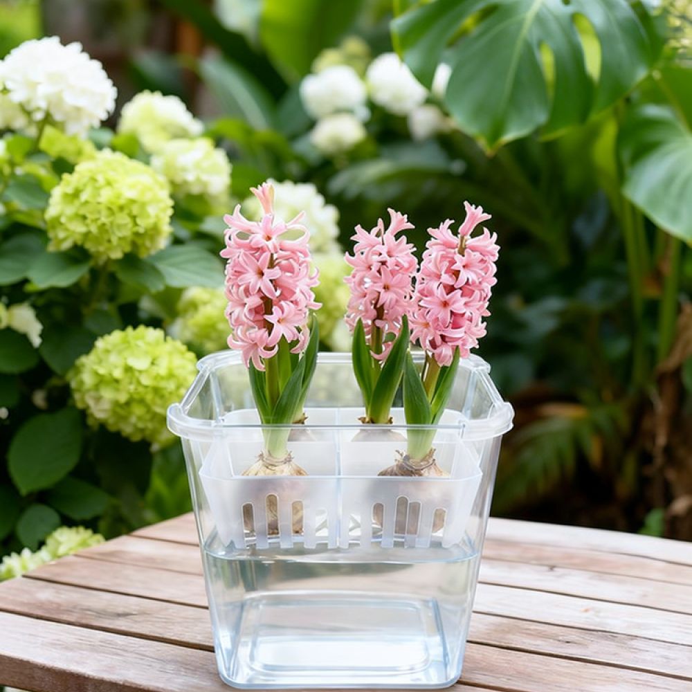 Plant Pot - チューリップやユリの球根を植えるための、透明な水耕栽培用花瓶。植え替え用のバスケット付き。通気性に優れた、屋内やオフィスで植物を育てるためのツール。
