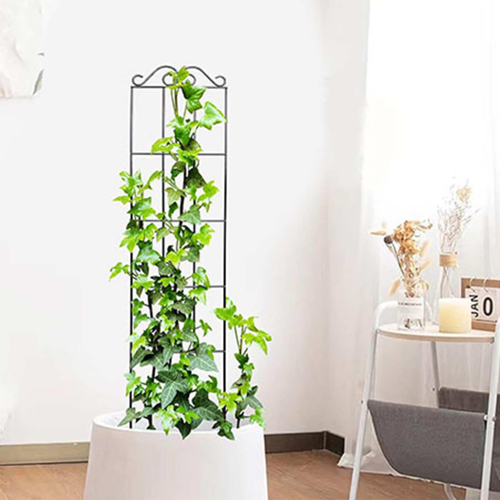 耐久性のあるガーデントレリス、クライミングプラントステムサポ - Plant Support Stake のレビューと価格