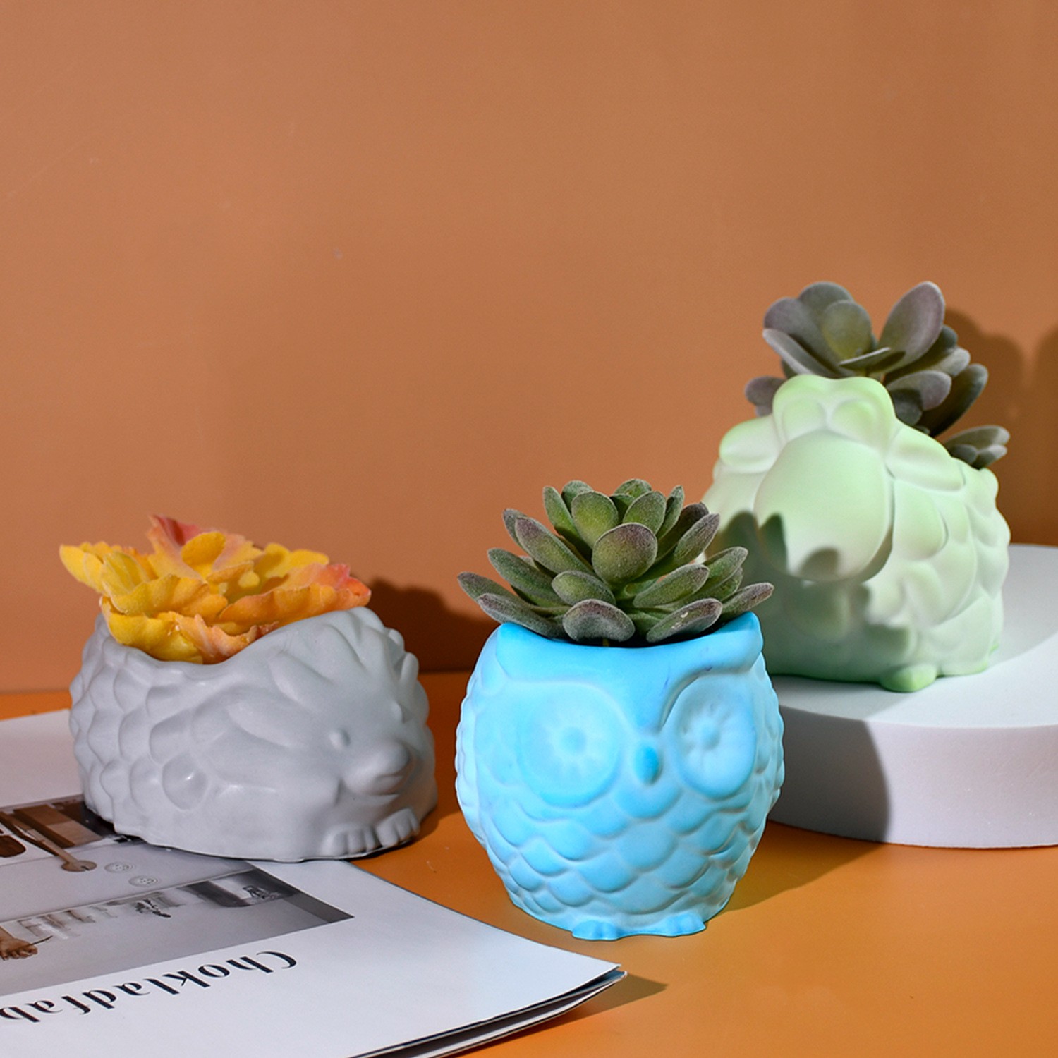 3D 動物植木鉢シリコーン型 DIY カタツムリフクロウ巻貝 - Succulent Set のレビューと価格