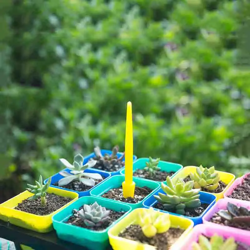 1/10 個播種多肉植物移植苗植栽ツール盆栽肥料掘削装置ガー - Succulent Set のレビューと価格