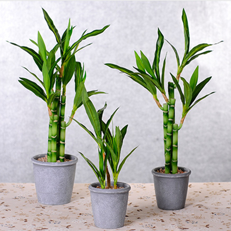 新しい40cm人工ラッキーバンブー多肉植物フェイクプラントフ - Snake Plant のレビューと価格