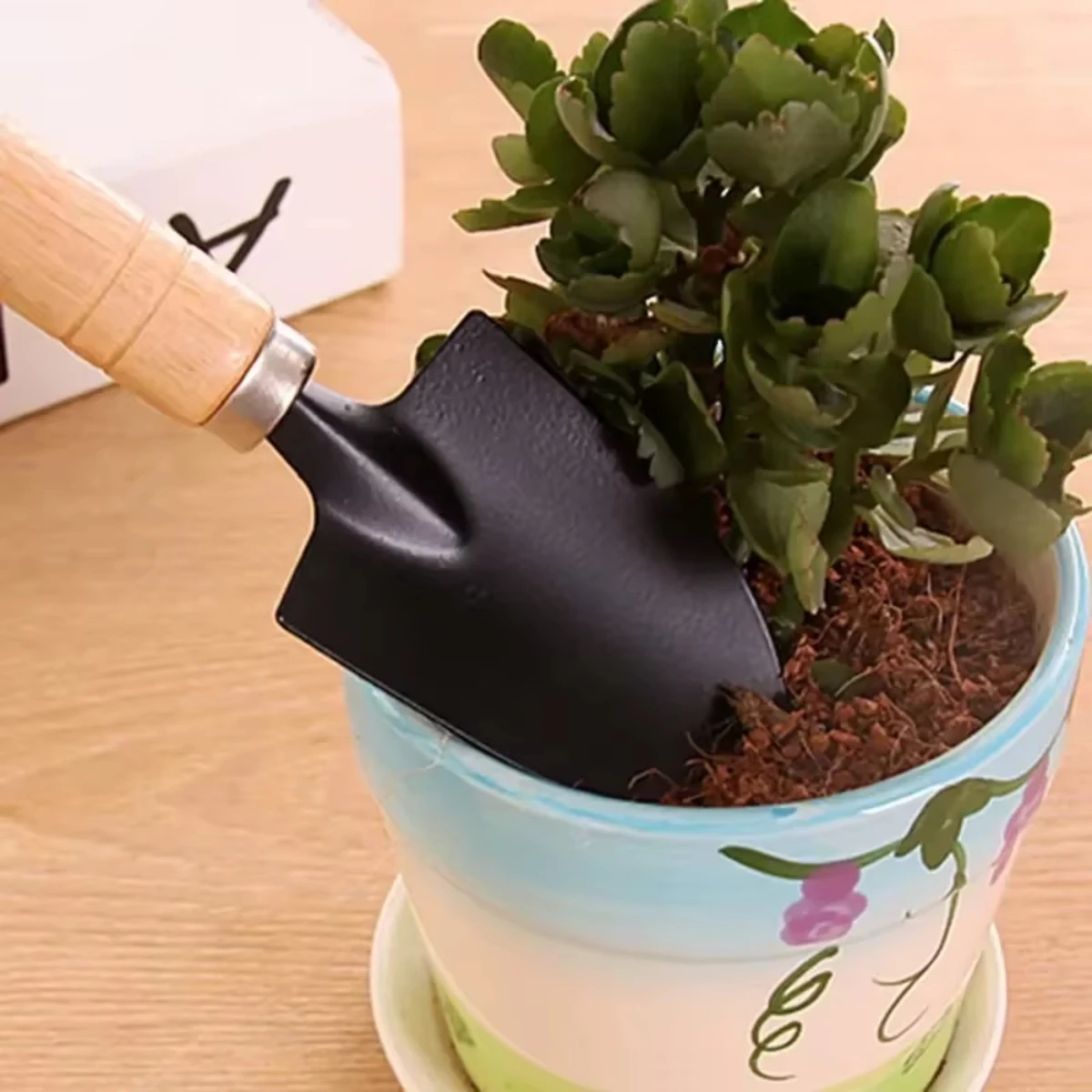 3点セット ミニガーデンツールセット。庭の植物、花鉢、サボテ - Terracotta Pot のレビューと価格