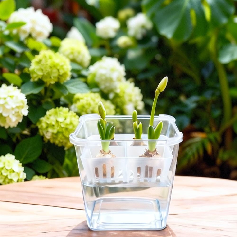 チューリップやユリの球根を植えるための、透明な水耕栽培用花瓶 - Plant Pot のレビューと価格