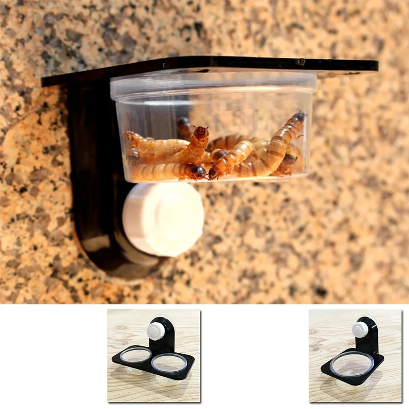 ペット用の爬虫類タンクアクセサリー,餌と給水ボウル,昆虫,ク - Snake Plant のレビューと価格