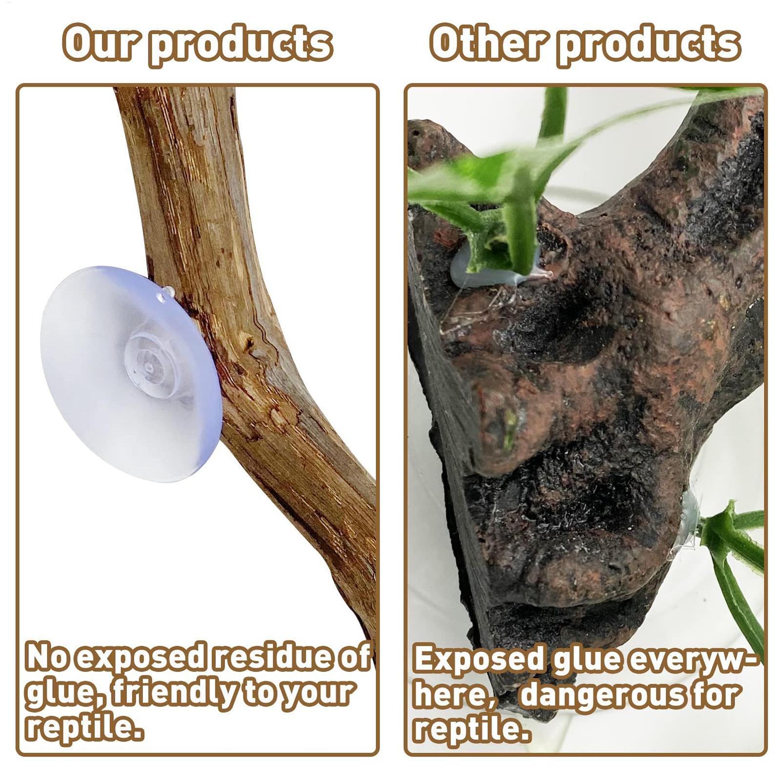 爬虫類クライミングコーナースティック滑り止め爬虫類用枝テラリ - Snake Plant のレビューと価格