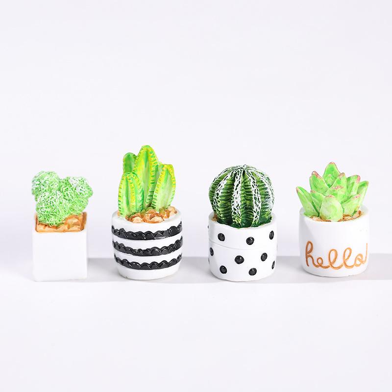 サボテン多肉植物の鉢植え4点セット、フェアリーガーデンアクセ - Succulent Set のレビューと価格