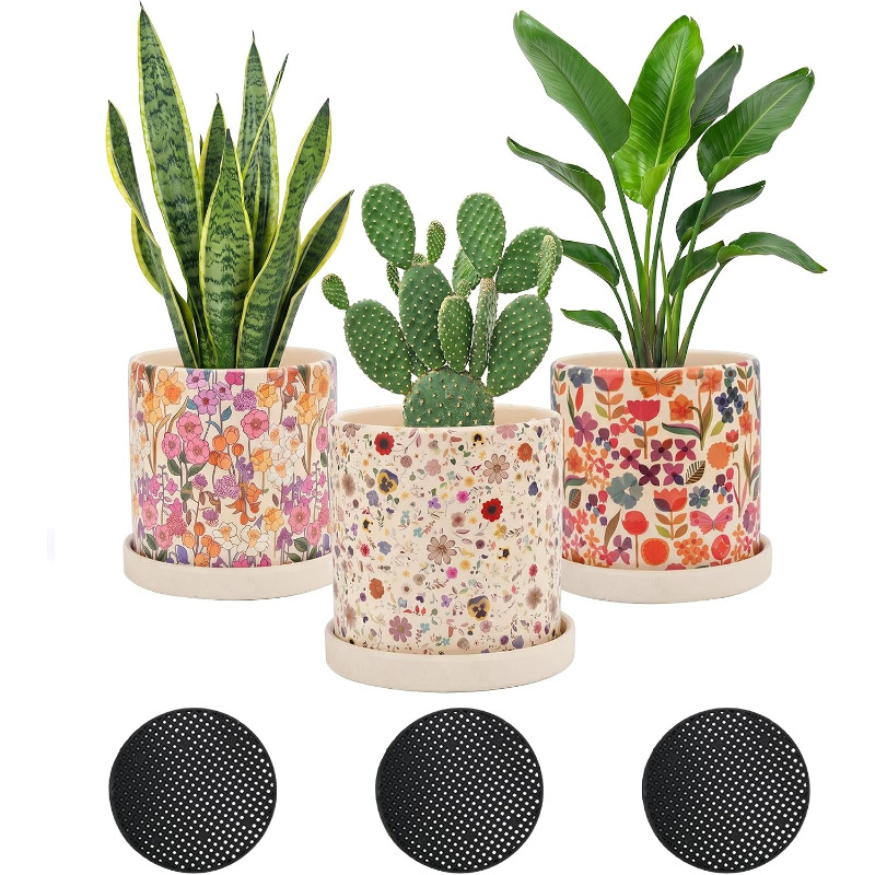 3個セット 花柄セラミック鉢 排水穴付き受け皿付き 室内・屋 - Snake Plant Ceramic のレビューと価格
