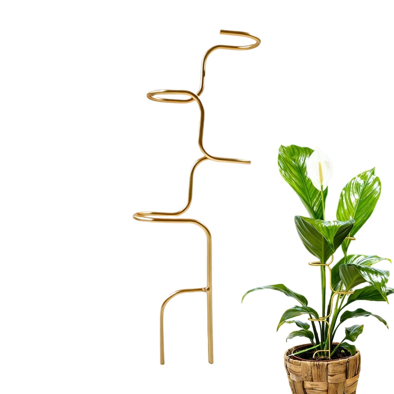 庭の植物の茎固定用サポートフレーム 金属製バラ茎サポートステ - Plant Support Stake のレビューと価格