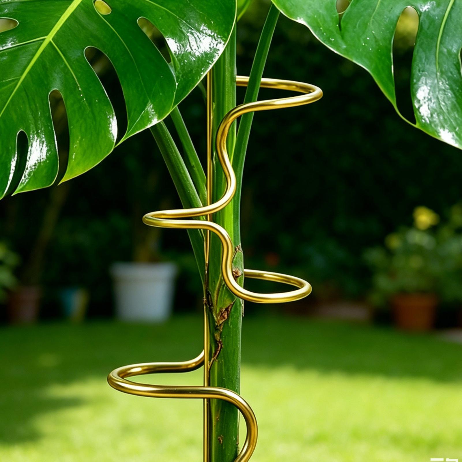 庭の植物の茎固定用サポートフレーム 金属製バラ茎サポートステ - Plant Support Stake のレビューと価格